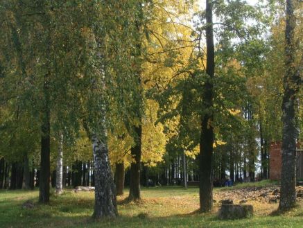 Церковный парк. Наши дни